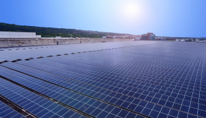 中美硅晶与Maxman | 万博光电携手战略合作