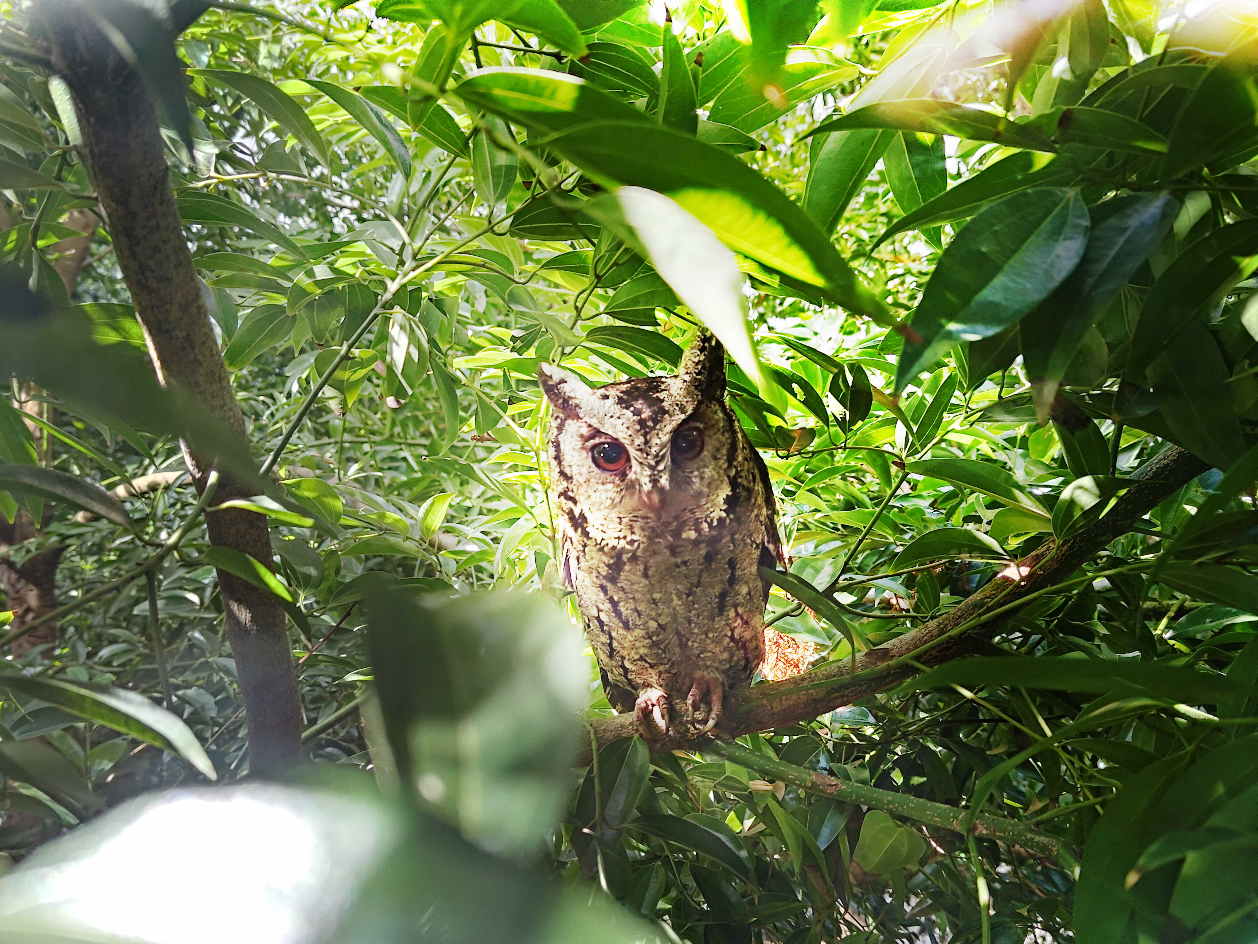 Maxman | 万博致力提倡净零绿生活，16年以来在全球各厂区植树逾百万棵，造就各厂区树木蔚然成林，犹如森林工厂，成为许多生物的栖息地