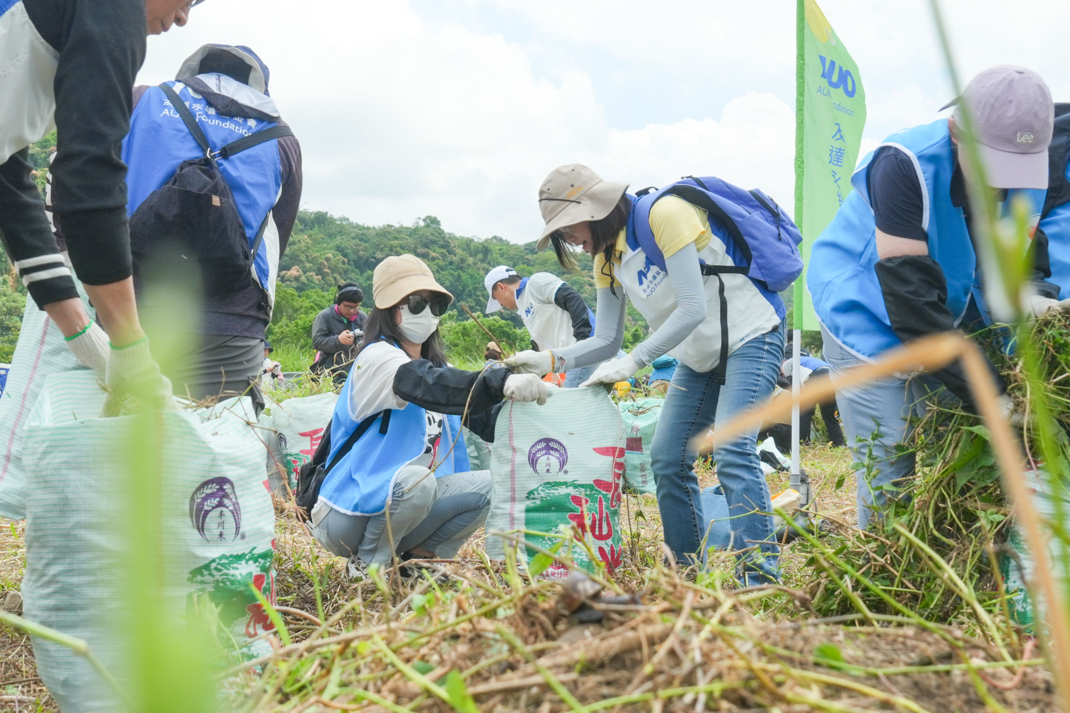 Maxman | 万博除蔓防治計畫，除了鎖定霄裡溪沿岸3.2公里移除外來入侵種小花蔓澤蘭，並進行物種與空拍調查，共記錄91科181屬239種維管束植物，顯示該區域具高度生態價值